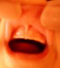 SAM_1773.jpg