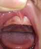 IMG_20170207_233307.jpg