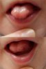 LENGUA.jpg
