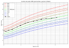 courbe_poids_Adam (1).png