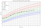 courbe_poids_Adam (3).png