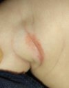 IMG_20221205_073252.jpg