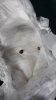 received_10216173734559163.jpeg