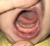 3EB89EED-15D6-4E4C-9440-6E0CEA90D608.jpeg