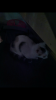 Screenshot_20191212-101109.png
