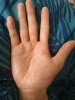 IMG_20191214_093659.jpg