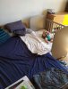 IMG_20200410_154618.jpg