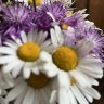 MmeMarguerite