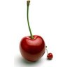 cerise