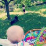 Maman_louve