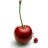 cerise
