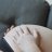 clar_zy
