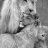 Gatita