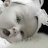 Faty