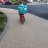 mini loup
