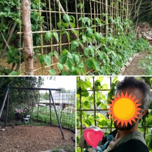 Jardin mamachocola